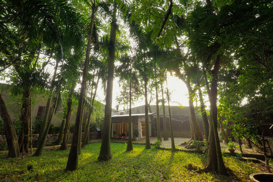 Ngôi nhà đẹp như cổ tích lọt thỏm giữa vườn cây ở Hà Nội (1)