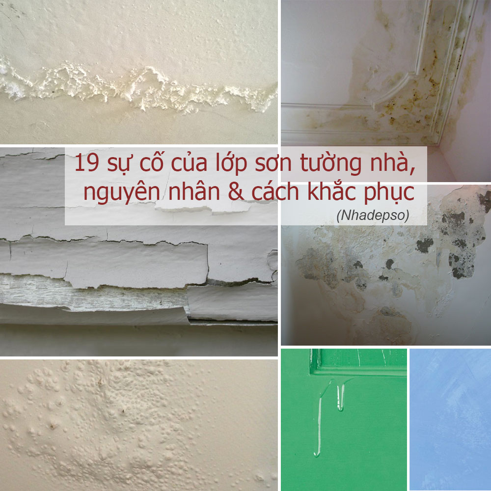 19 sự cố của lớp sơn tường nhà, nguyên nhân & cách khắc phục - nhà đẹp số