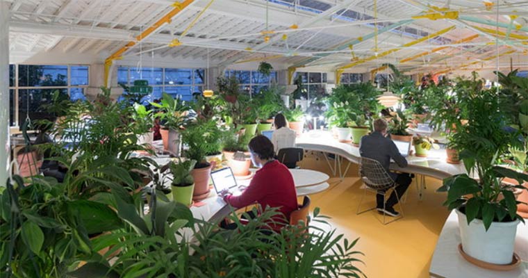 Khu văn phòng Second Home Lisboa được phủ xanh bởi 1.000 chậu cây