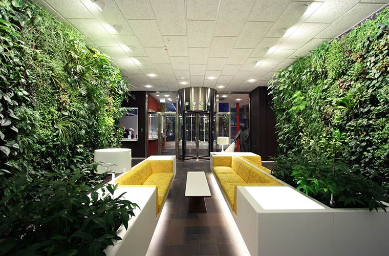 Một góc không gian văn phòng làm việc xanh của Google