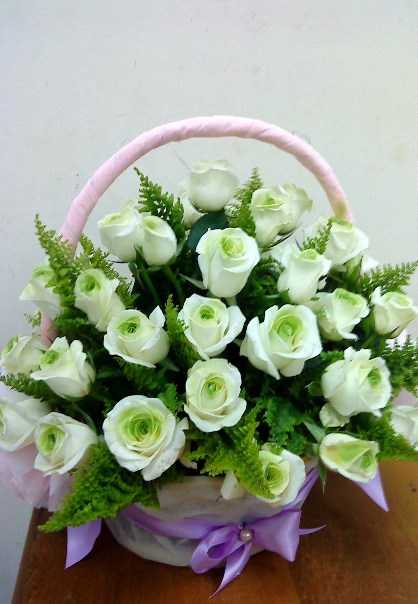 Hình ảnh hoa hồng trắng đẹp