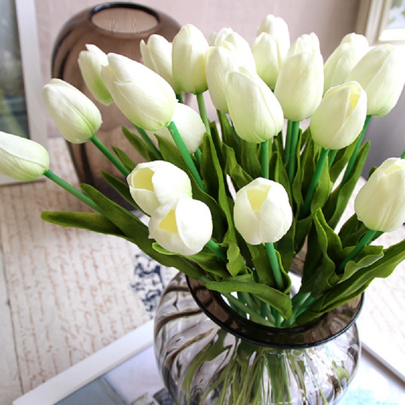 ảnh hoa tulip 11