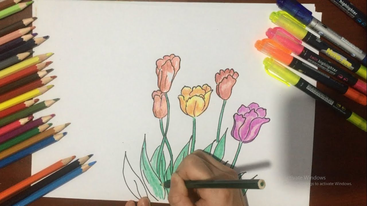 ảnh hoa tulip 35