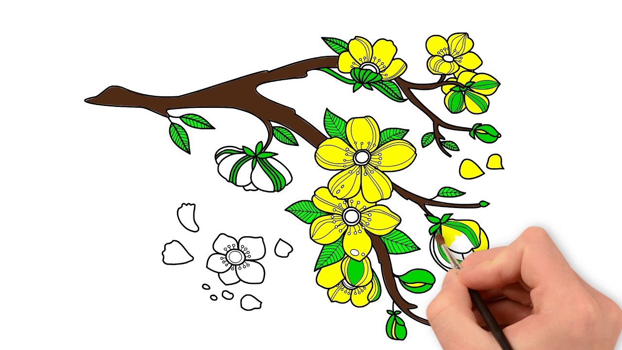 Vẽ hoa mai ngày tết  Cách vẽ hoa mai  Mai vàng ngày tết  YouTube
