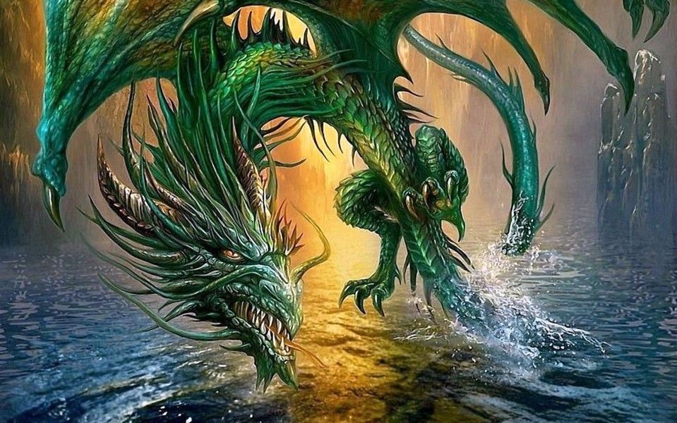 Hình rồng đẹp ảnh rồng đẹp 3d ấn tượng nhất 16 Chinese new year dragon Chinese dragon Asian dragon