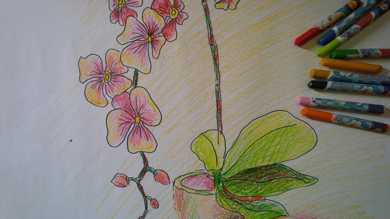 Tranh vẽ hoa phong lan