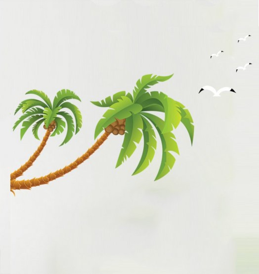 Hình vẽ cây dừa đẹp