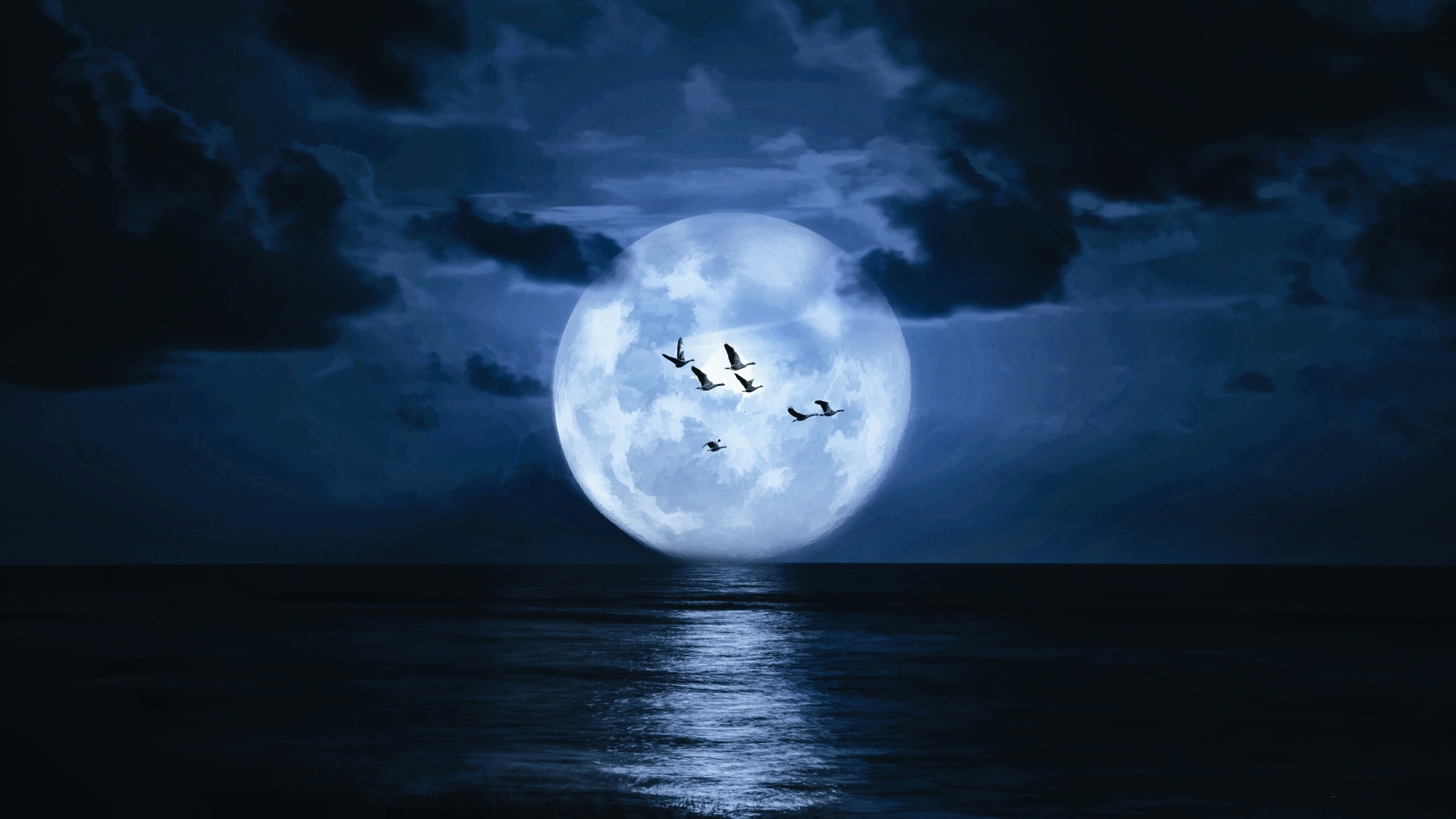 Ảnh mặt trăng tròn sáng trên biển cùng với những cánh cò bay dập dìu