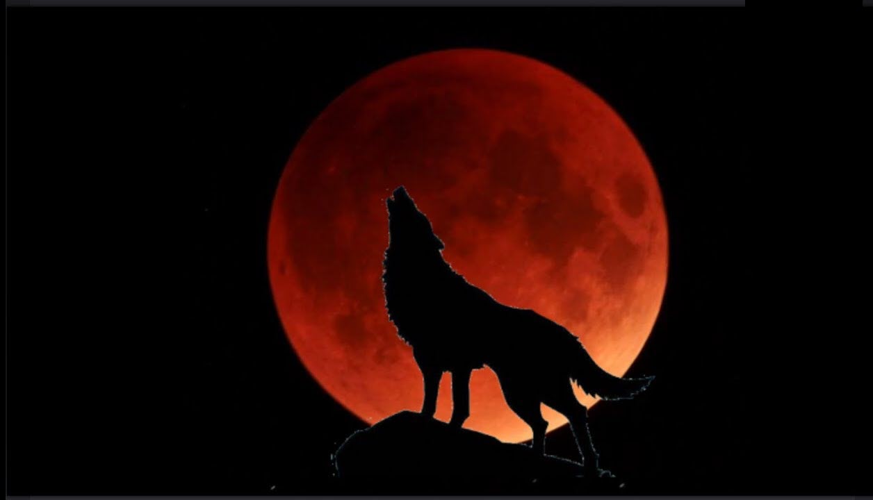 Ảnh mặt trăng đỏ đẹp vào ban đêm