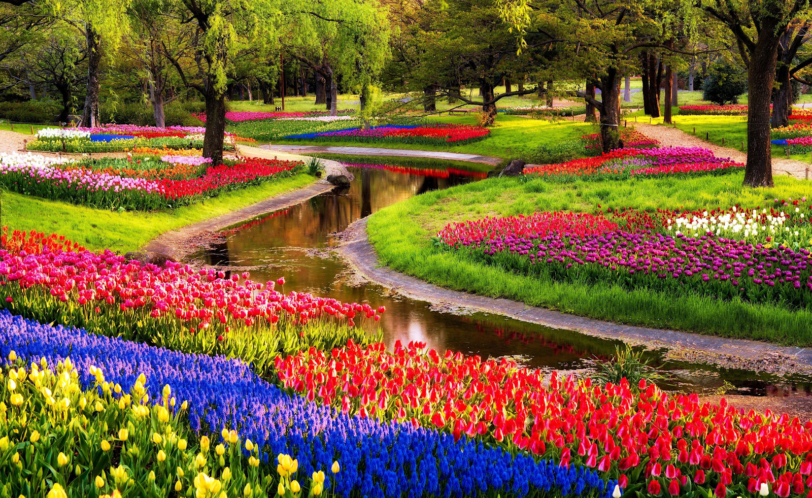 999+ Hình ảnh vườn hoa đẹp – Bộ sưu tập hình ảnh vườn hoa đẹp siêu độc, chất lượng 4K