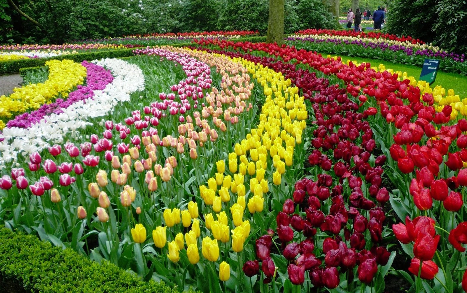 Vườn hoa đẹp nhất thế giới
