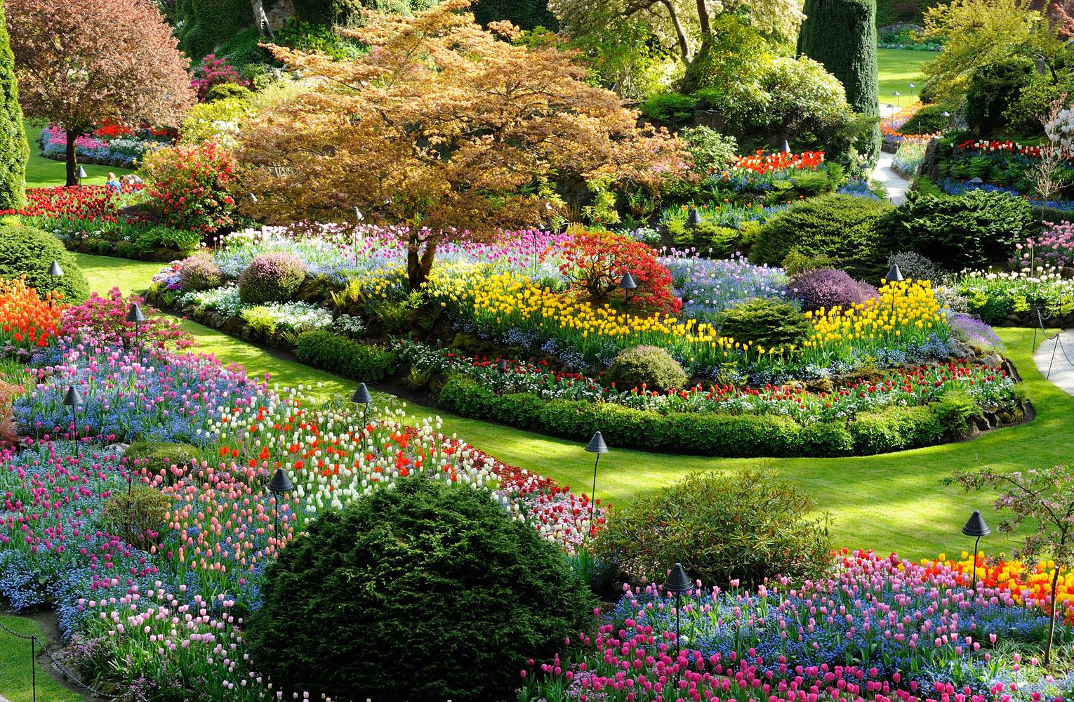 Hình ảnh vườn hoa đẹp nhất thế giới