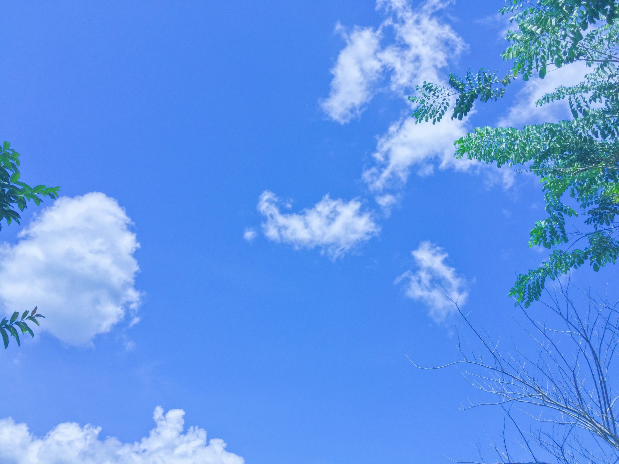 Hình nền bầu trời xanh tuyệt đẹp cho điện thoại  Trường THPT Ngô Thì Nhậm