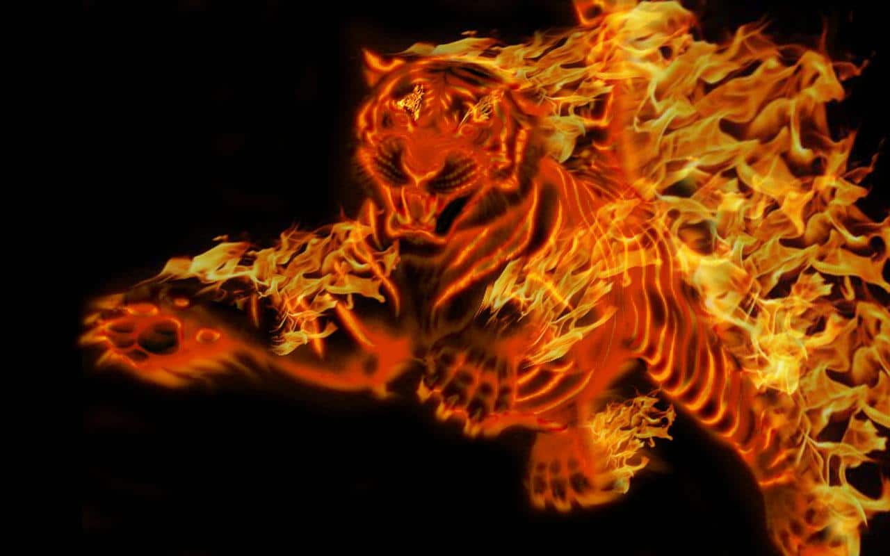 Khám phá với hơn 106 hình ảnh con hổ lửa hay nhất - thtantai2.edu.vn