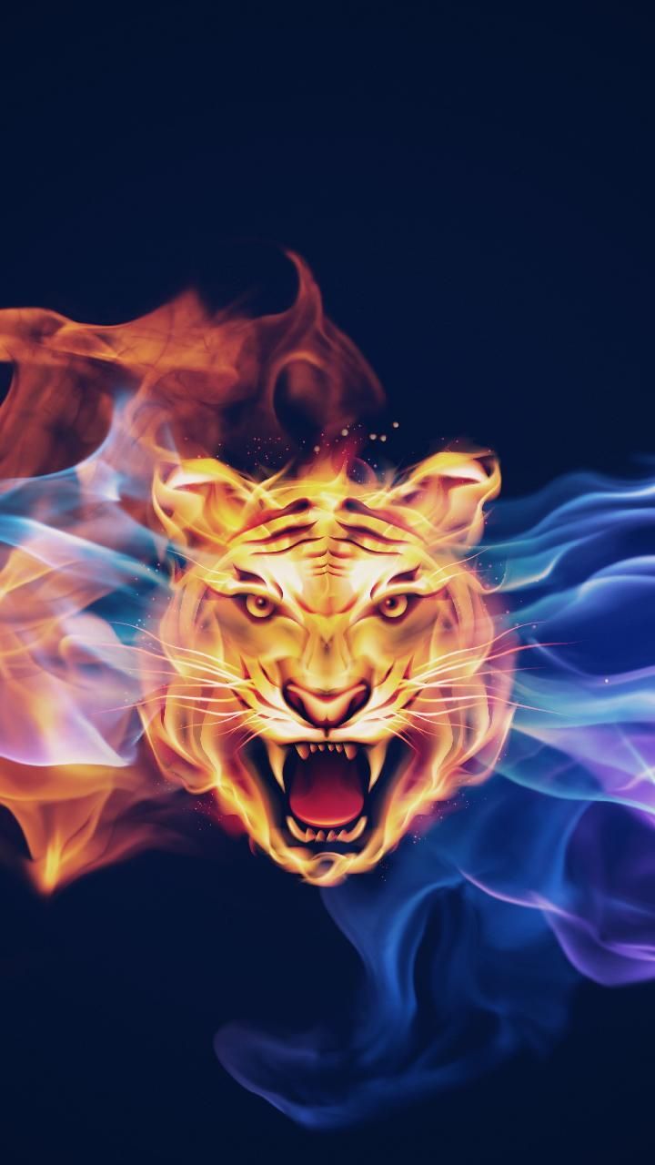 Hình ảnh con hổ lửa
