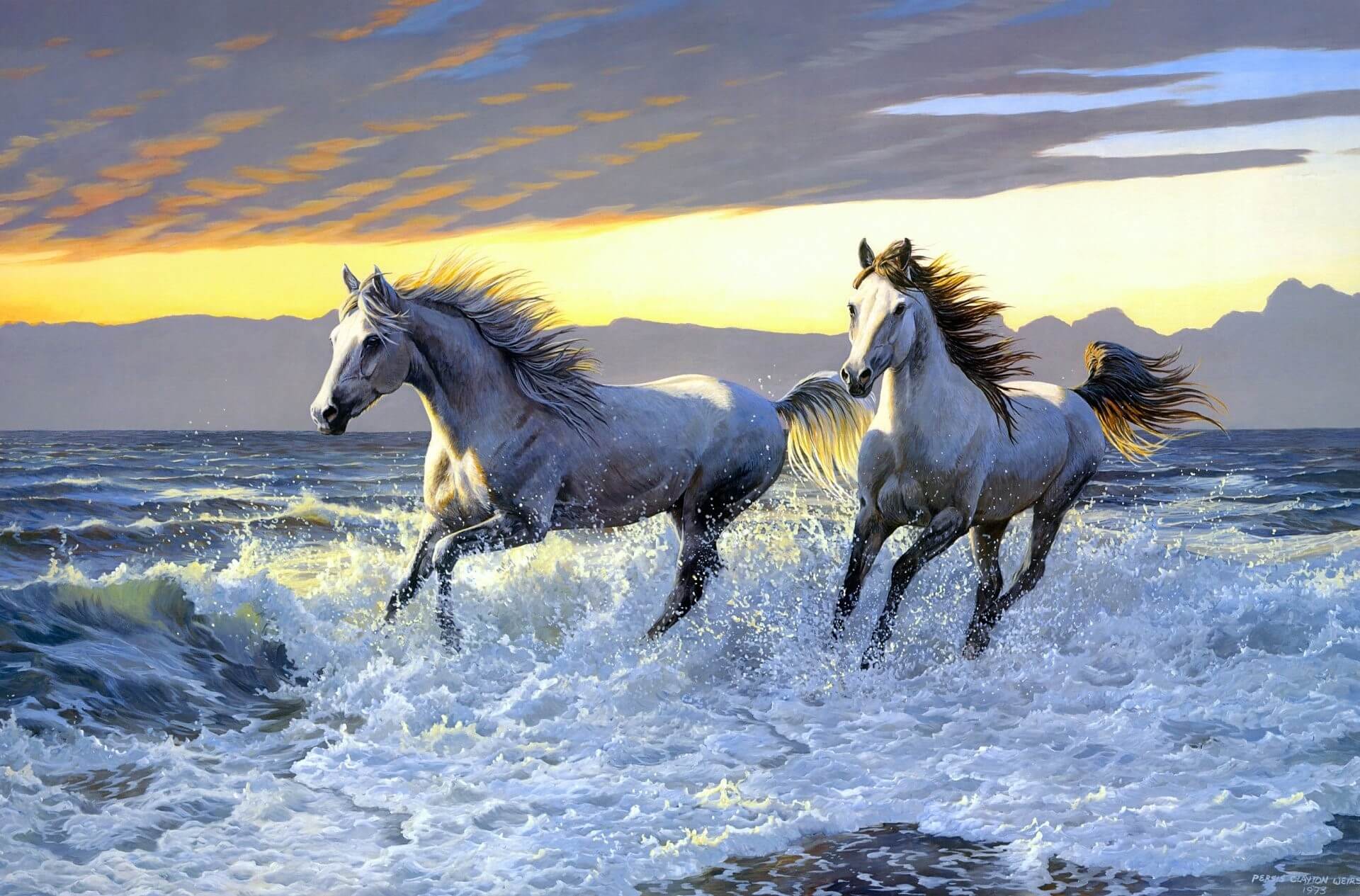 Hình ảnh những con ngựa đẹp