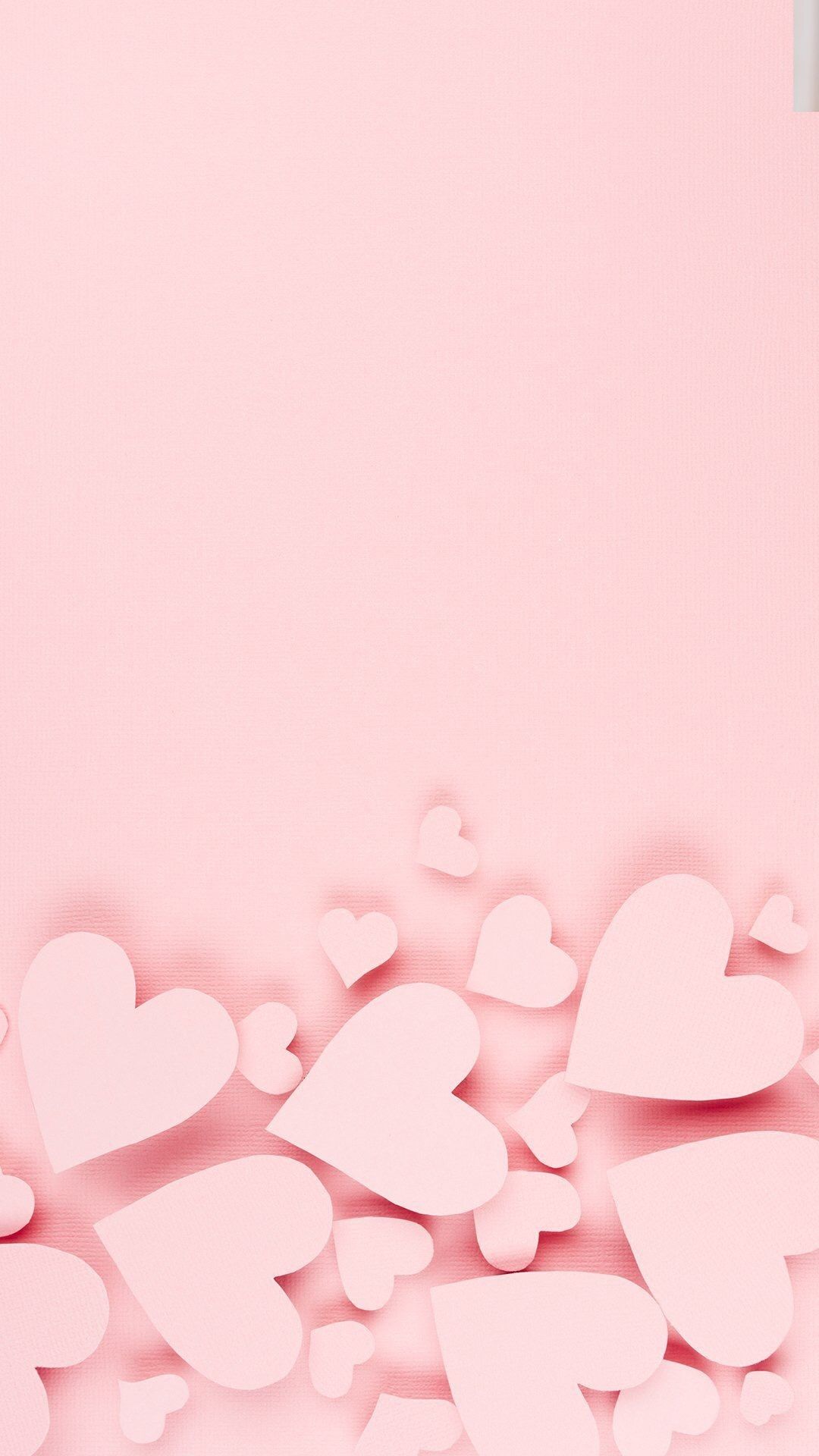 Hình nền trái tim màu hồng đẹp