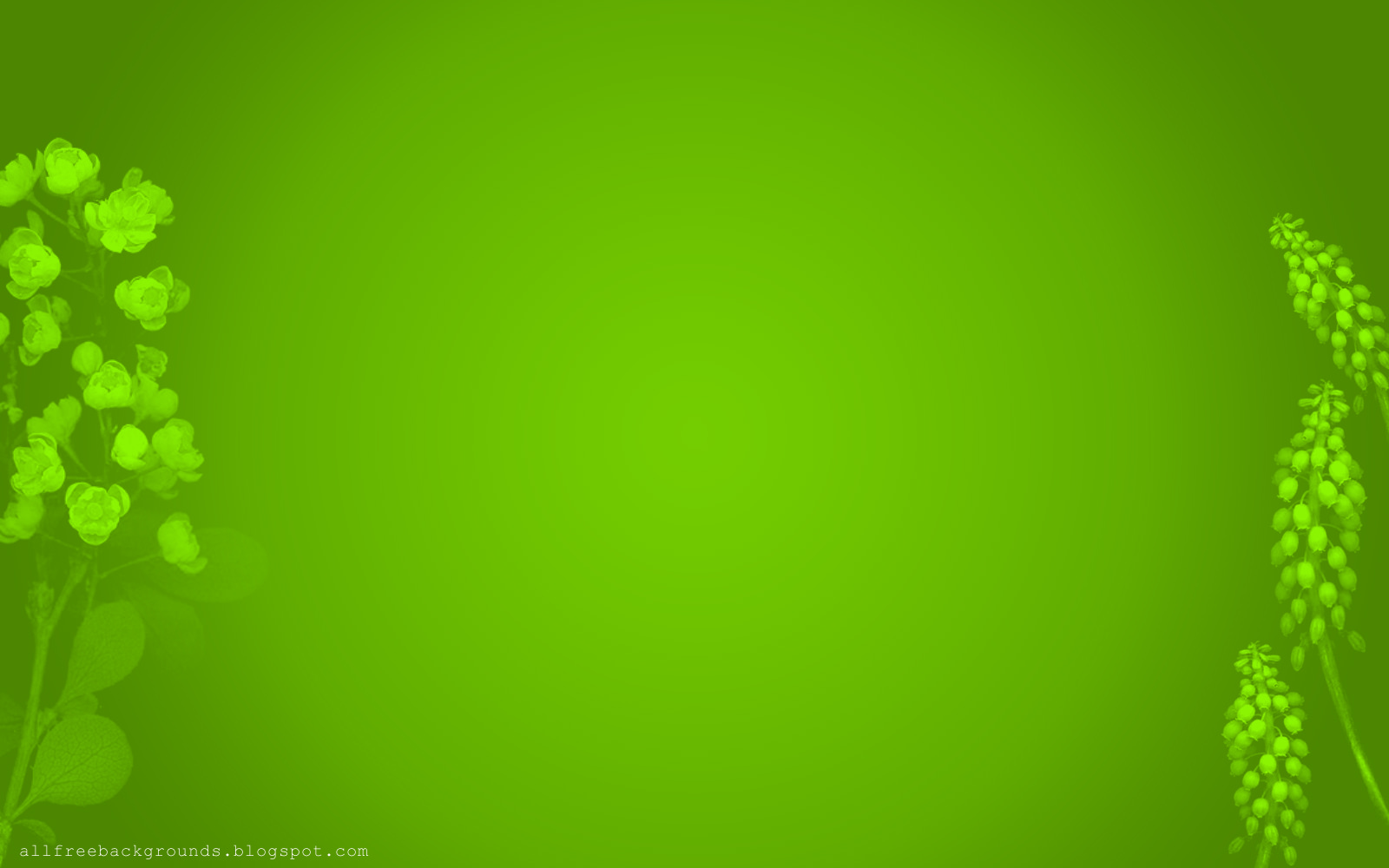 99 hình nền màu xanh lá cây  background xanh lá cho máy tính