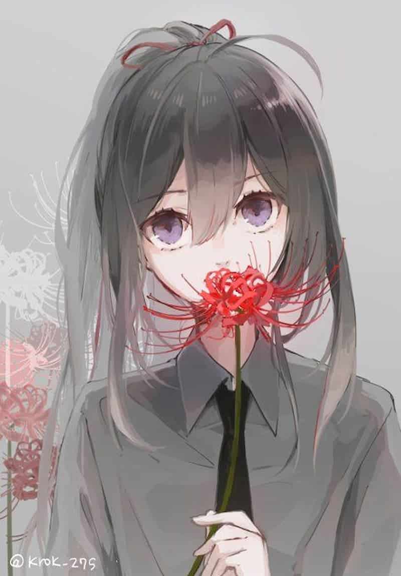 Hoa bỉ ngạn anime đẹp