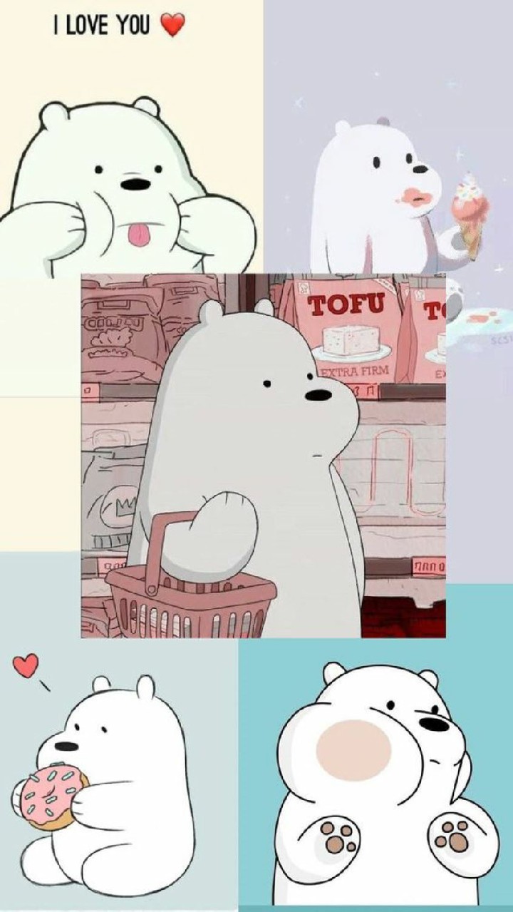 Ảnh gấu cute anime