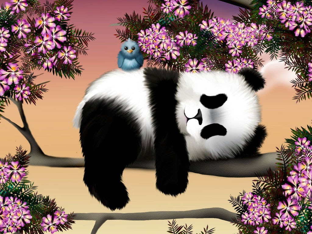 Hình panda đẹp