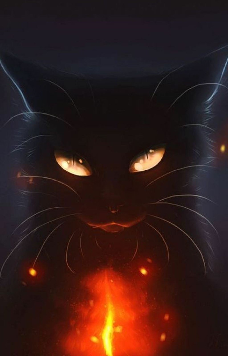 Hình nền mèo đen anime