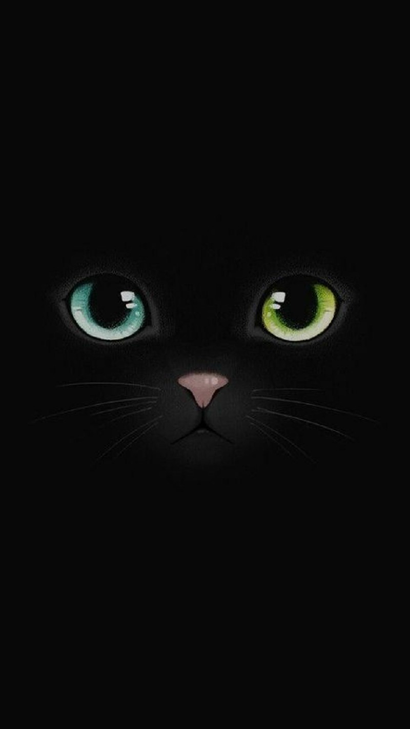 Hình nền mèo đen anime