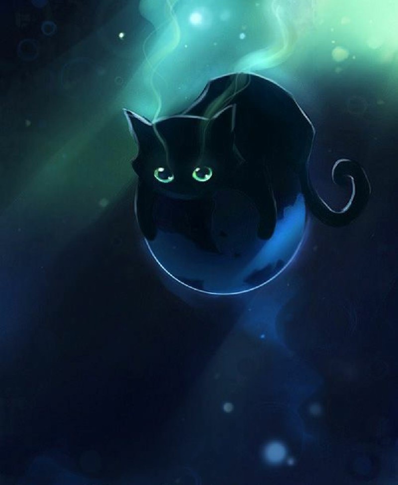 Hình mèo đen anime
