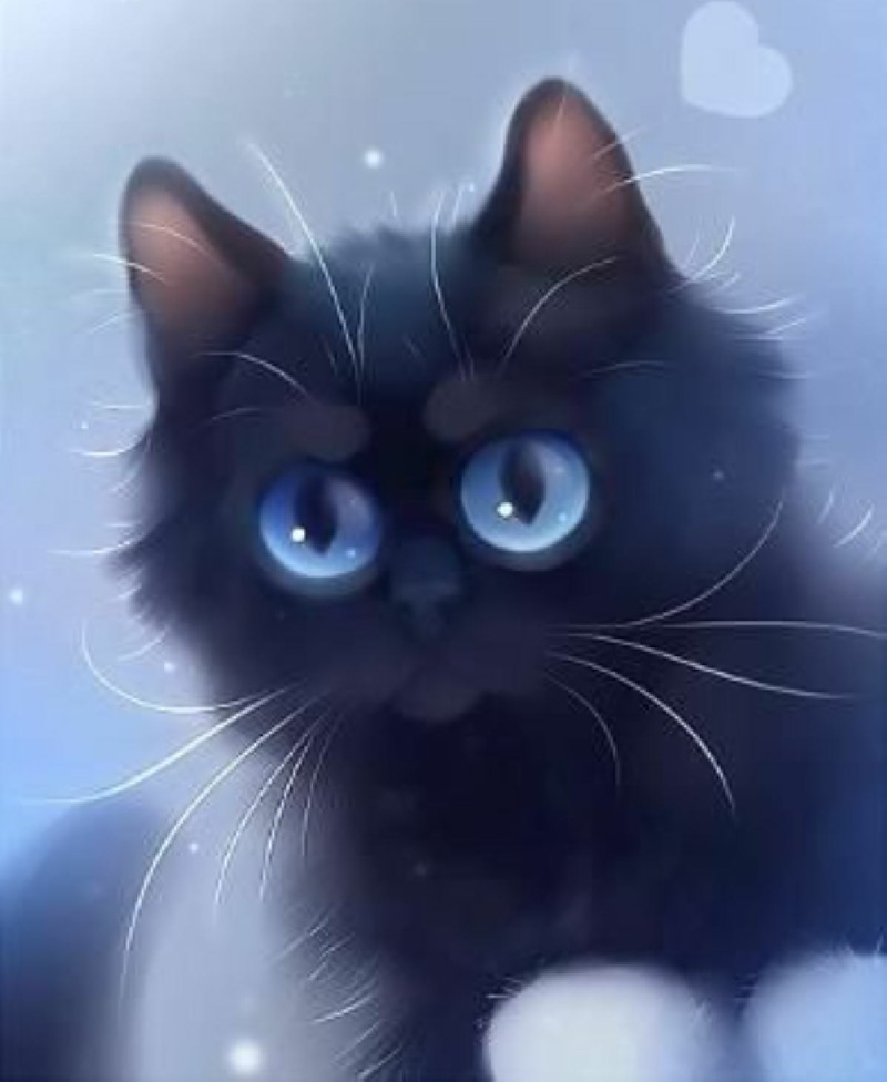 Ảnh mèo đen anime