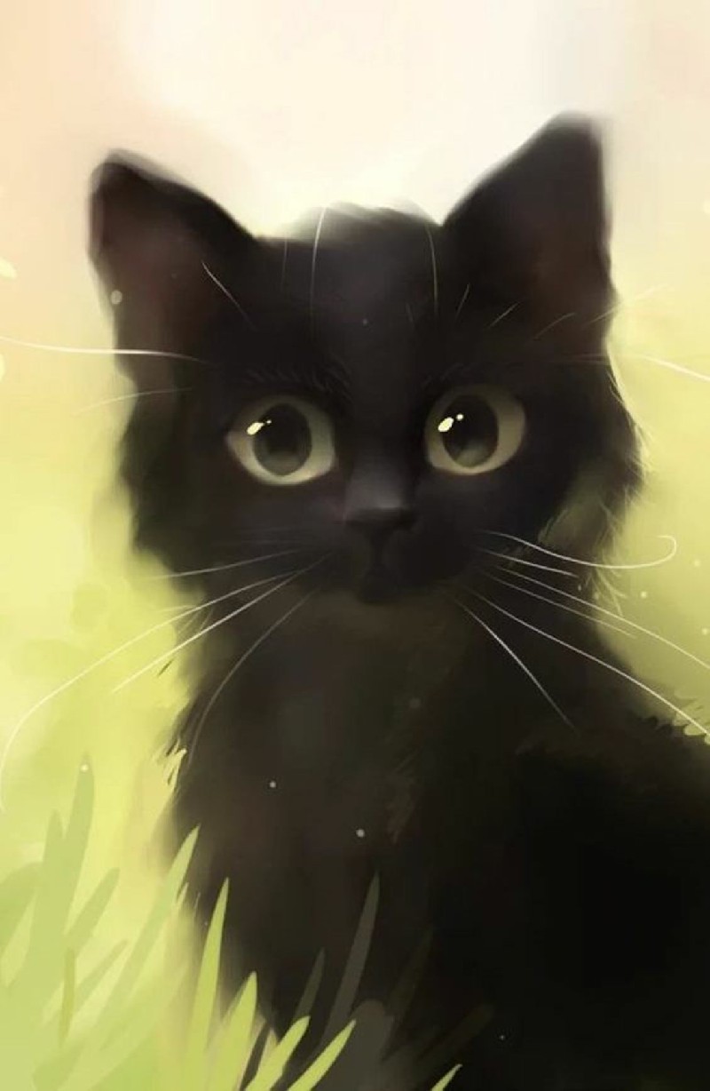 Hình mèo đen anime