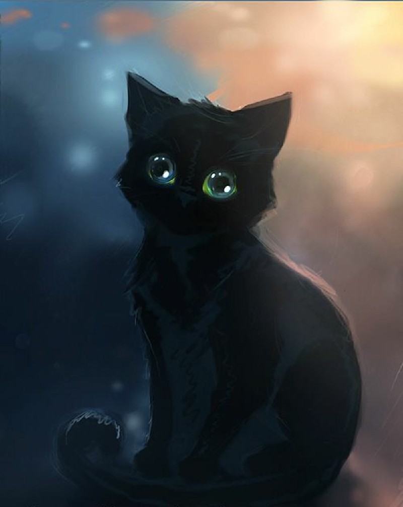 Hình mèo đen cute