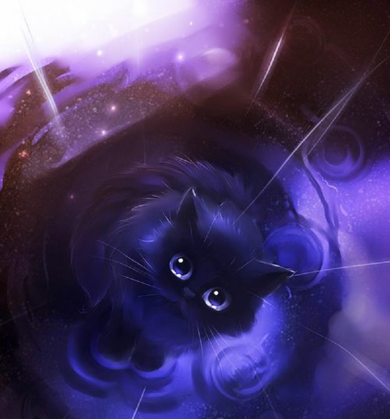 Hình mèo đen đáng yêu