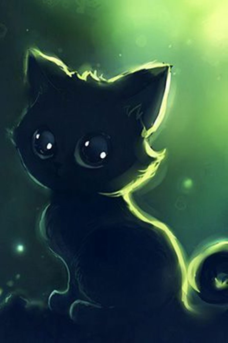 Hình mèo đen