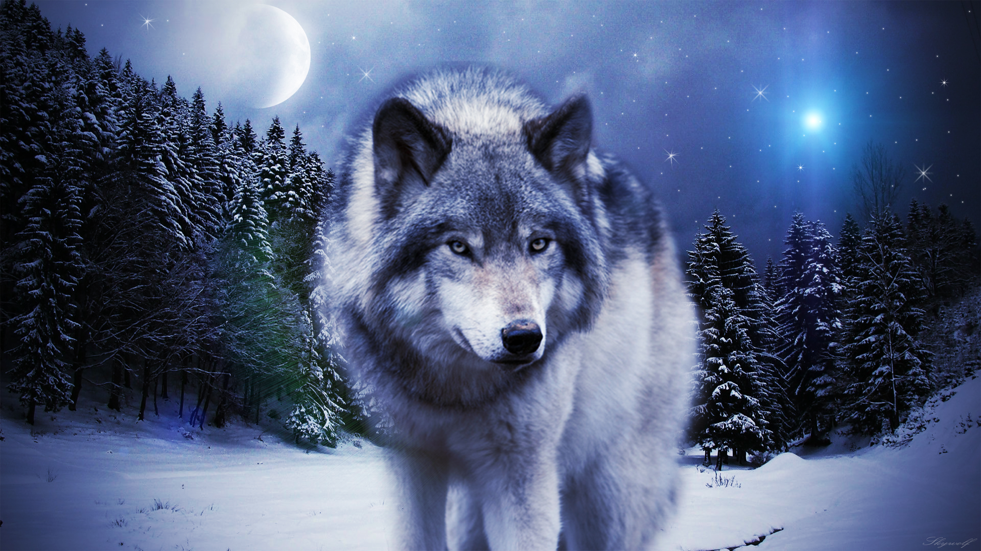 Những hình nền chó sói đẹp đến mê hồn, sẽ khiến bạn chẳng thể rời mắt khỏi màn hình. Sự tỉ mỉ và tinh tế trong từng chi tiết của những hình ảnh này khiến cho chó sói trông như được tạo nên để trở thành một tác phẩm nghệ thuật.