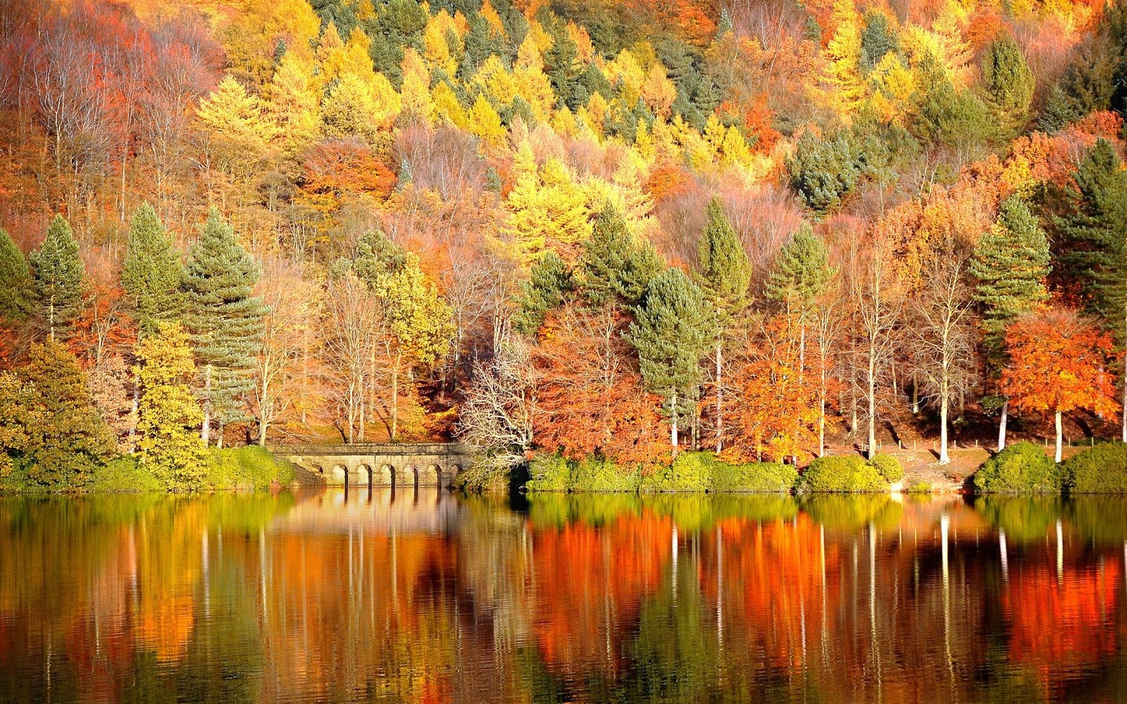 Hình nền đẹp thiên nhiên mùa thu