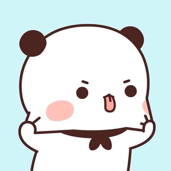Hình avatar gấu cute