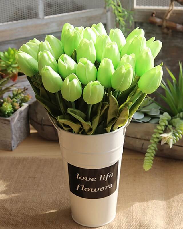 Hình nền hoa tulips