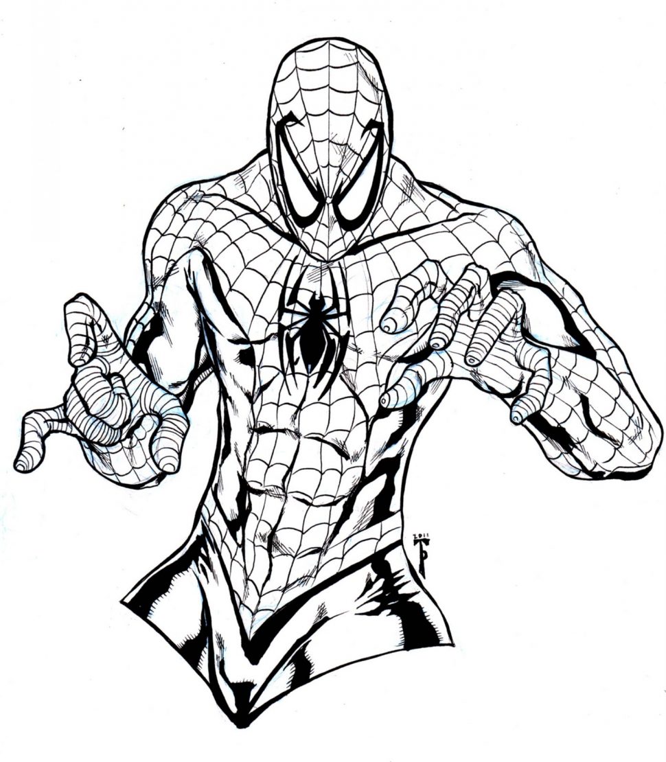 Spider man tranh tô màu người nhện