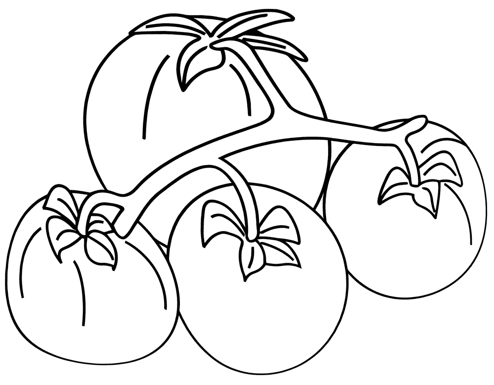 Dạy vẽ quả cà chua