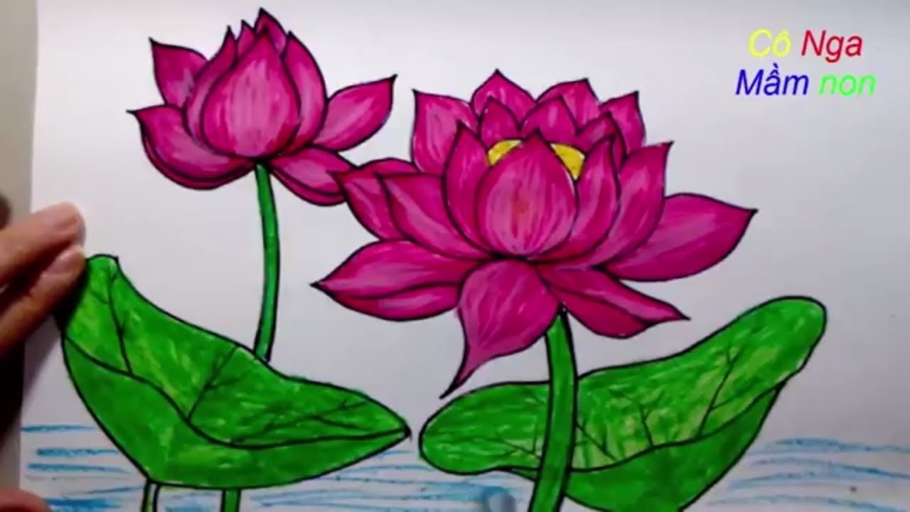 Tặng Bạn 50+ Tranh Vẽ Hoa Đơn Giản, Đẹp, Dễ Vẽ Cho Các Bé 101