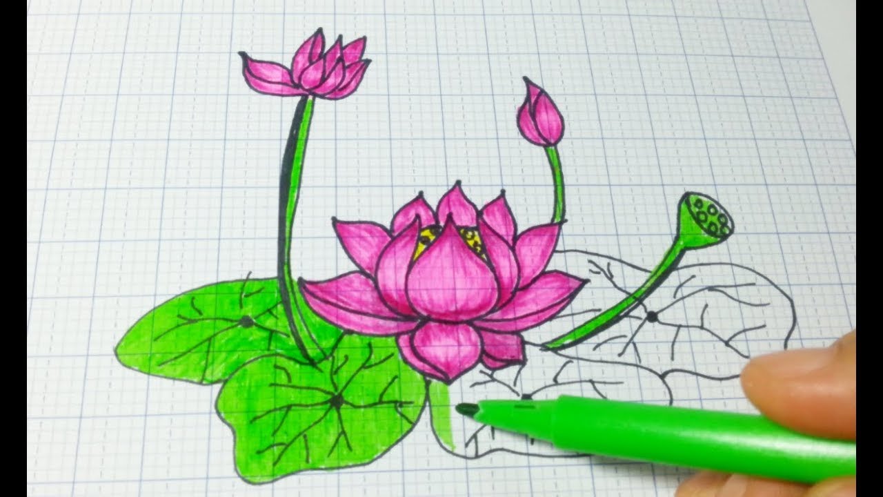 Vẽ hoa đơn giản