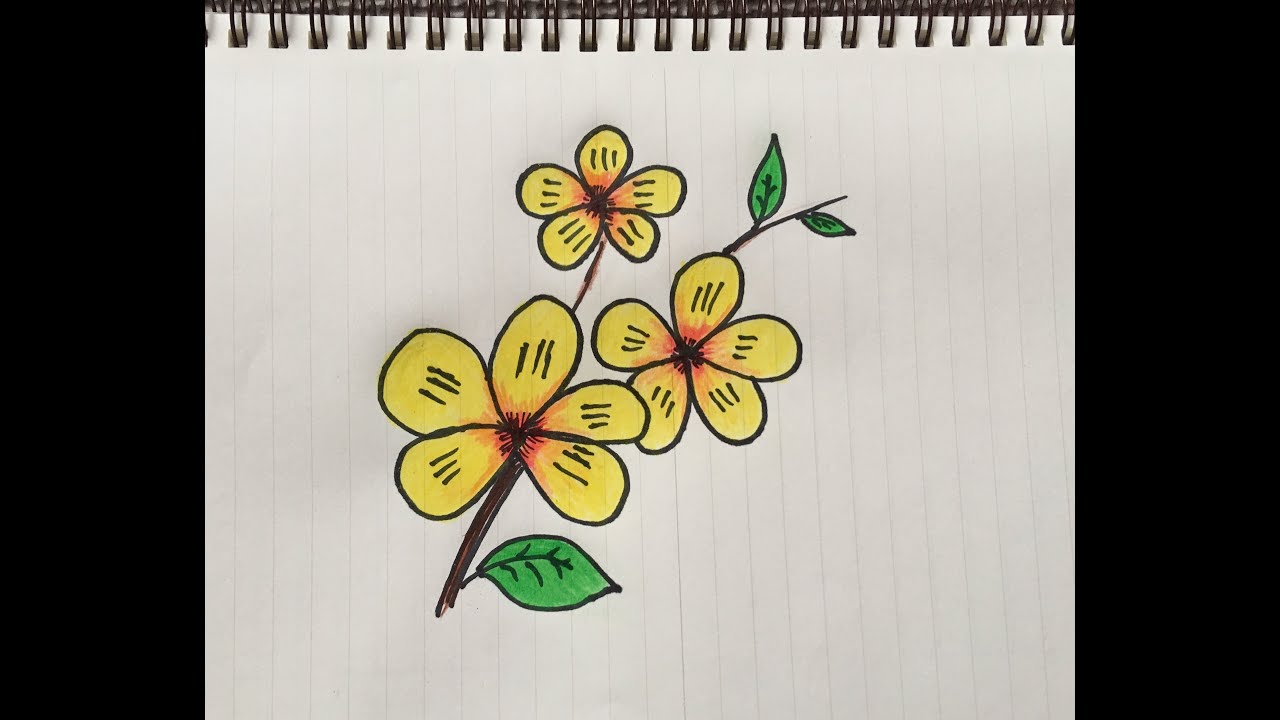 Vẽ hoa đơn giản đẹp