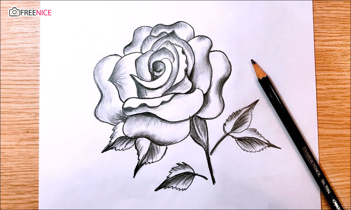 Vẽ hoa đơn giản cho bé