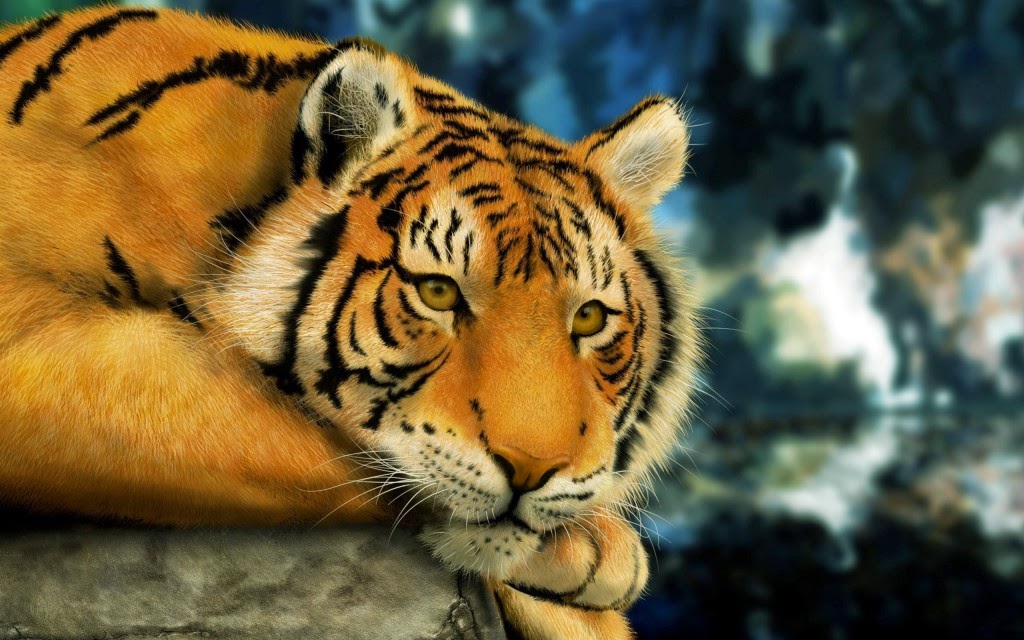 Hình nền con hổ đẹp nhất