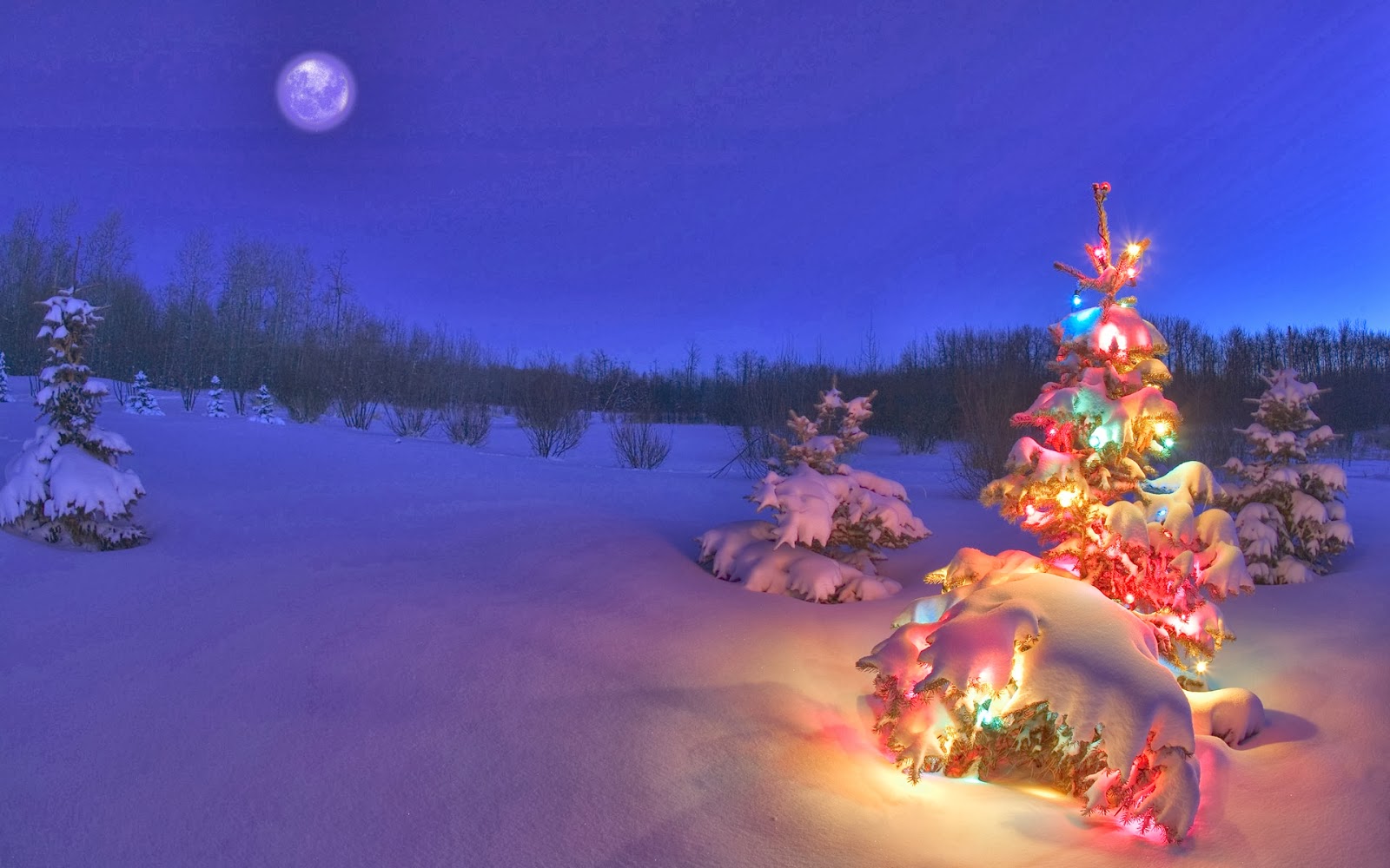 Hình Ảnh Avatar Noel Đẹp Cute HOT Nhất Mùa Giáng Sinh