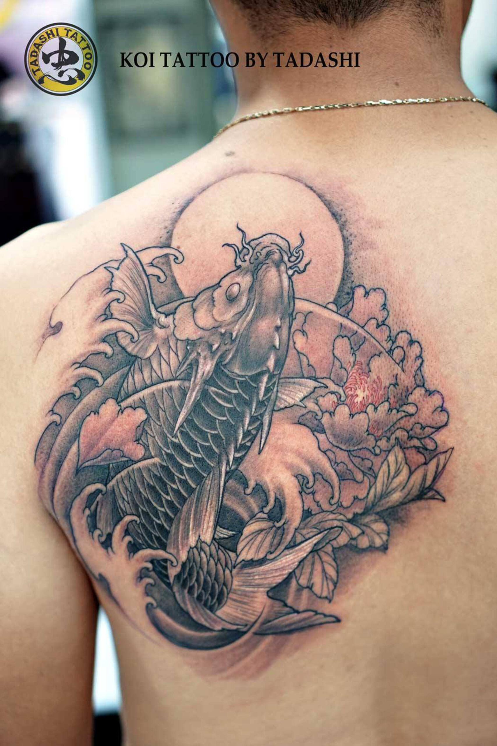 Thế Giới Tattoo  Xăm Hình Nghệ Thuật  Mẫu cá chép xăm nửa lưng đẹp 3   Facebook