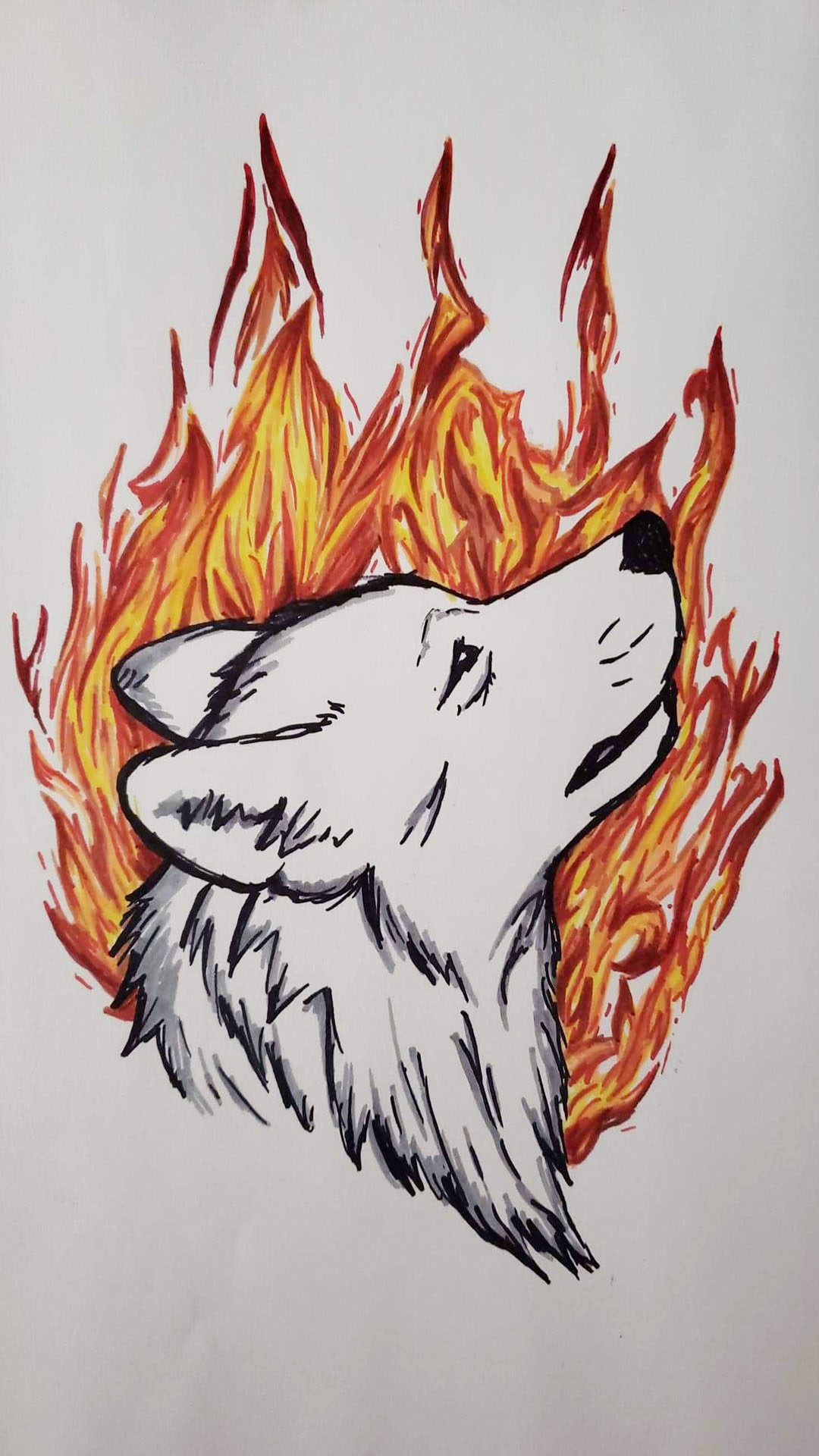Hình ảnh sói lửa