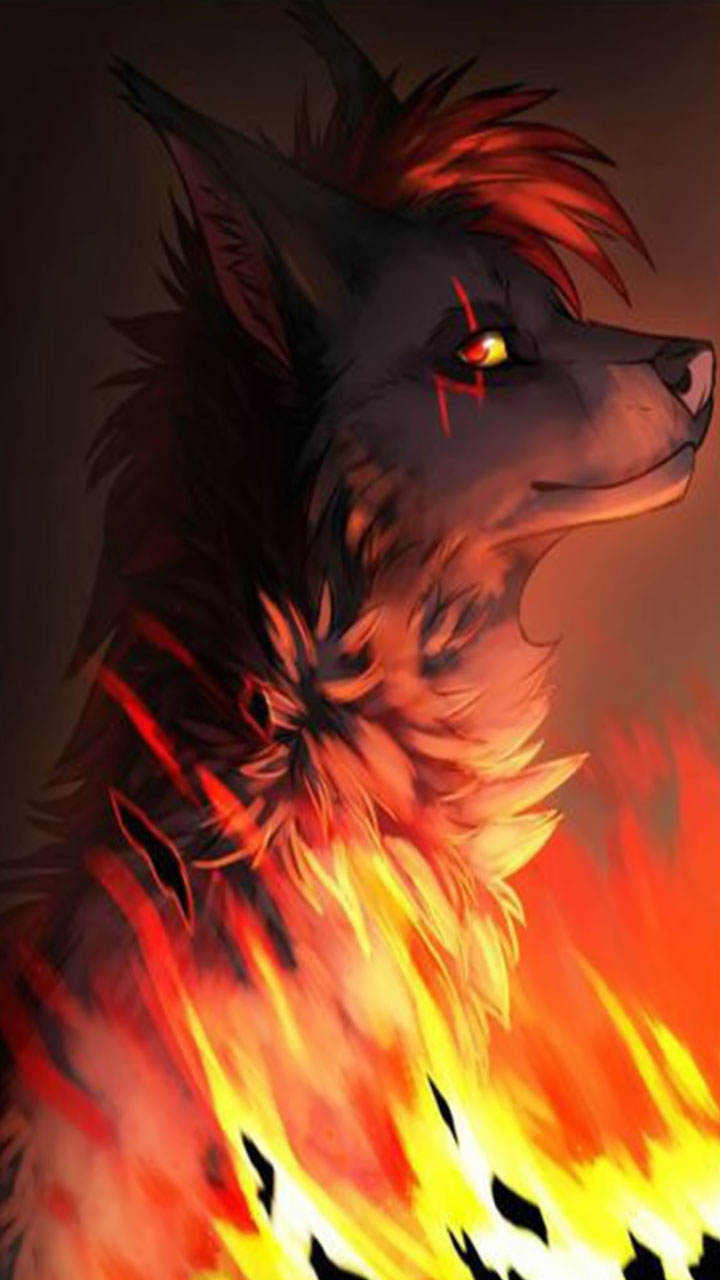 Hình nền chó sói lửa